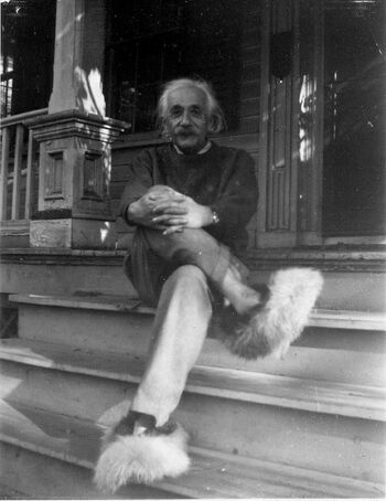 Albert Einstein in fuzzy slippers.jpg