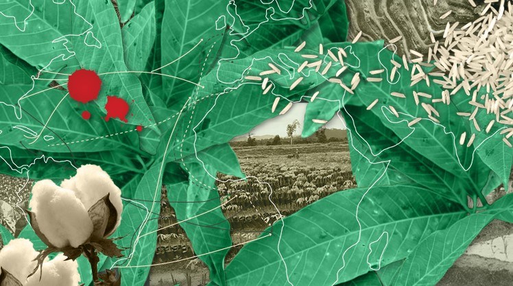 File:The Plantationocene Series Plantation Worlds Past and Present 2019.jpg