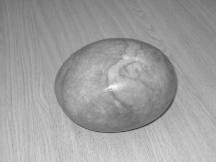 File:Ingold Tim 2007 Materials Against Materiality fig 1.jpg