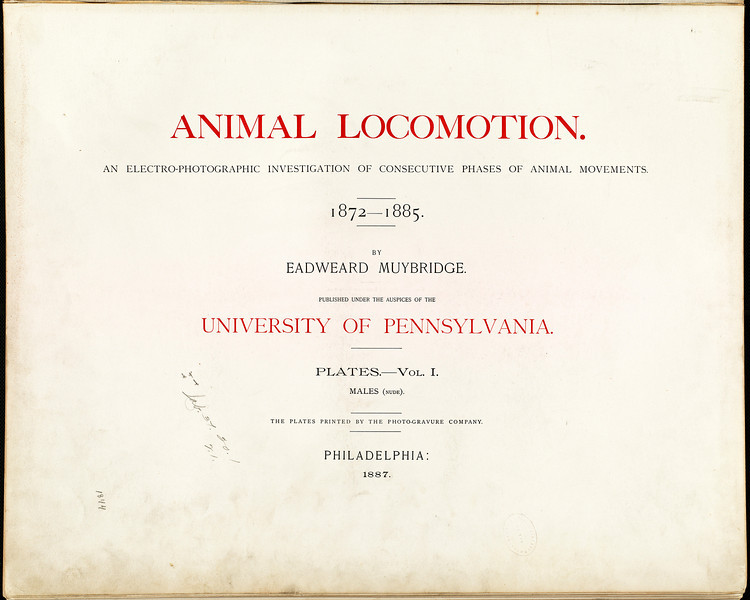 File:Muybridge Eadweard Animal Locomotion 1.jpg