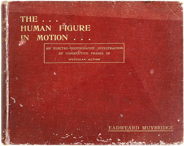 File:Muybridge Eadweard The Human Figure in Motion 1913.jpg