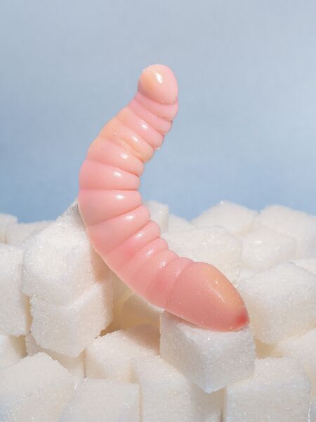 File:Nika Sandler The World of Hedonia .jpg