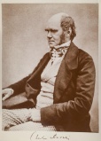 Charles Darwin 1854.jpg