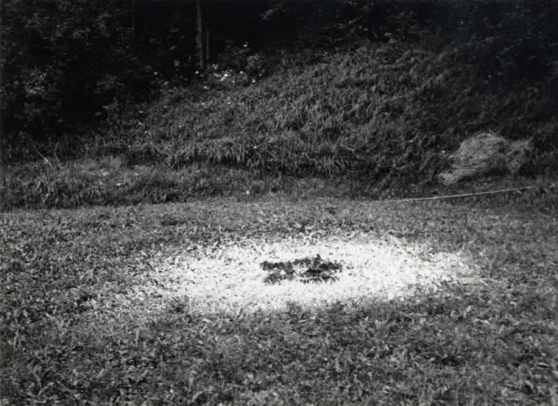 File:Valoch, Jiří (1971) - Flower Negative, 180mm.jpg