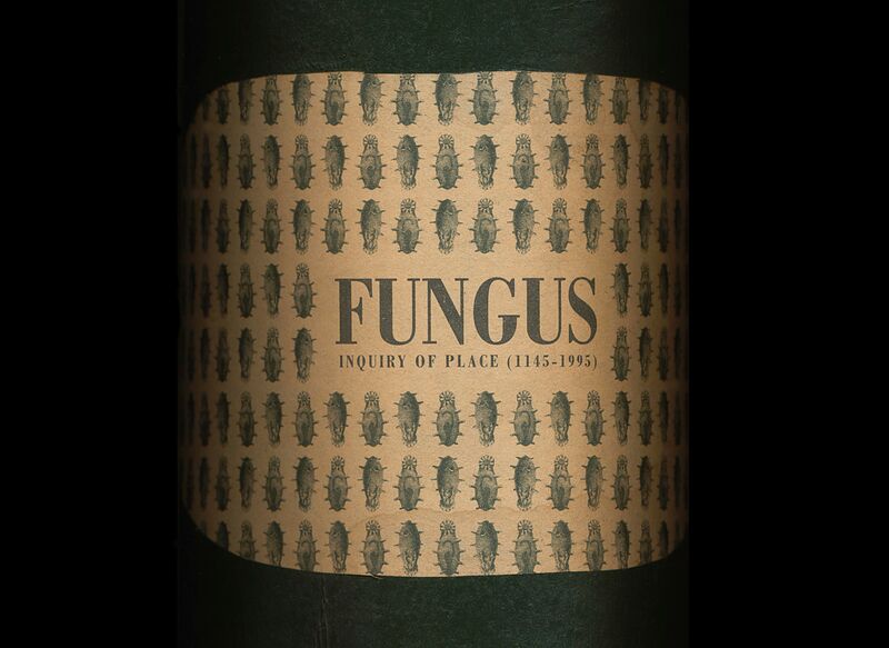 File:Fungus Inquiry of A Place 1145-1995 1995.jpg