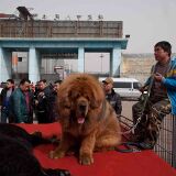 11085046 733611860093454 1076831312 n.jpg