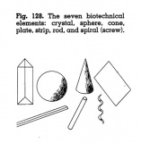 France s seven biotechnical elements in Moholy-Nagys New Vision 1938.jpg