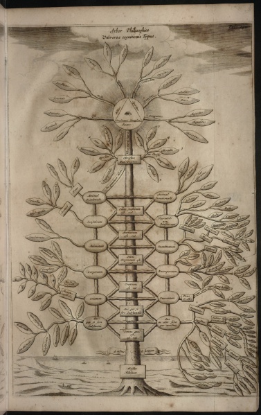 File:Kircher Athanasius 1669 Arbor philosophica.jpg