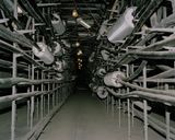 Culture Machine 18 The Nature of Data Centers 2019.jpg