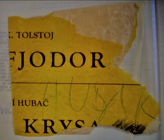 Obcianska neposlusnost 2.jpg