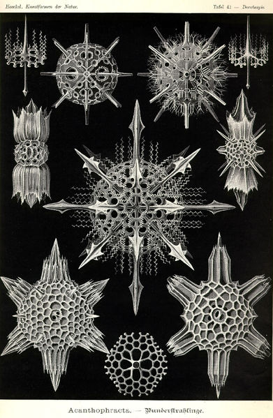 File:Culture Machine 17 Thermal Objects 2019.jpg